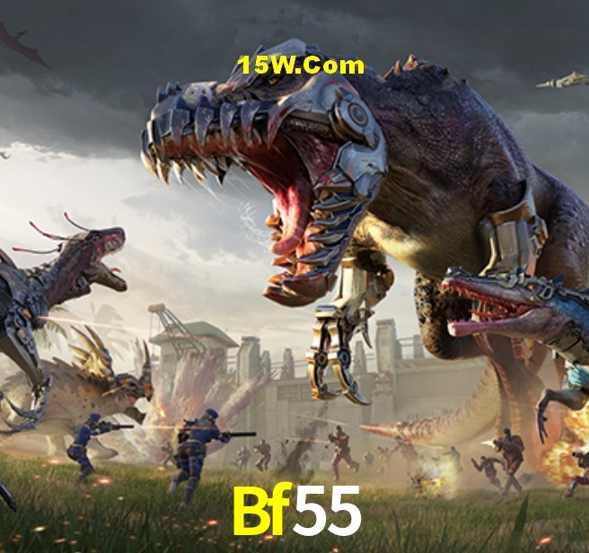 Programa VIP Bf55